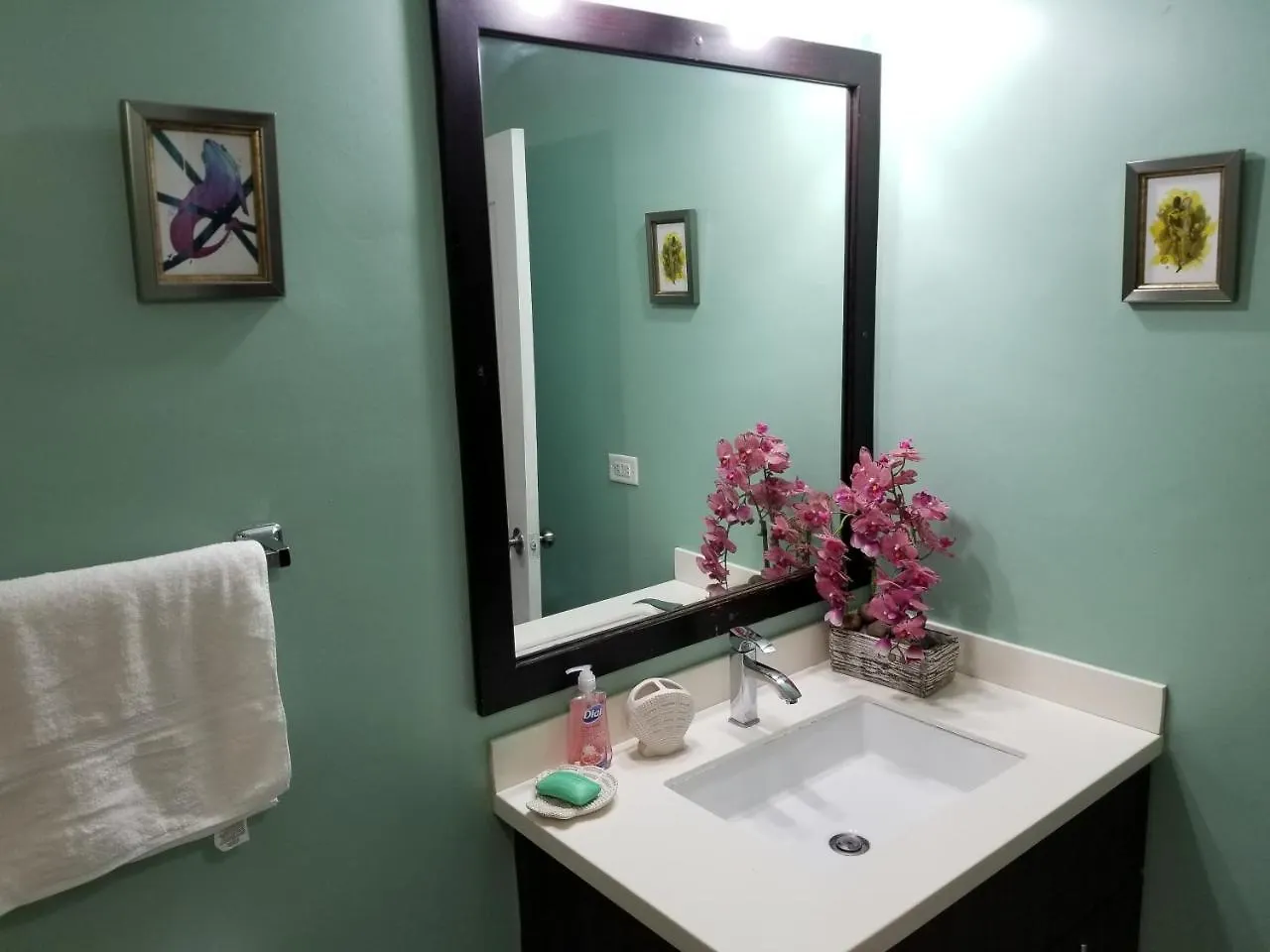 The Bromptons Apartment Kingston Jamaica